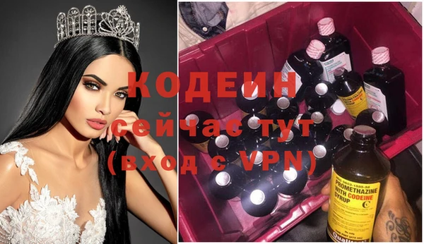 первитин Гусев