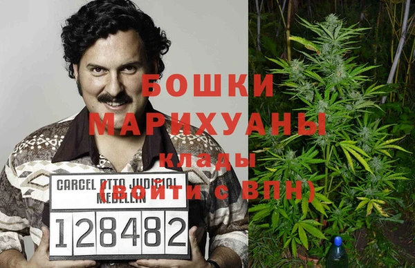 стаф Гусь-Хрустальный