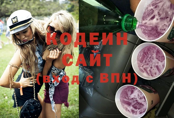 первитин Гусев