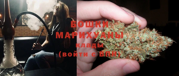 стаф Гусь-Хрустальный