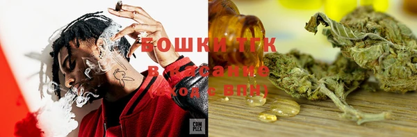 ГАЛЛЮЦИНОГЕННЫЕ ГРИБЫ Гусиноозёрск
