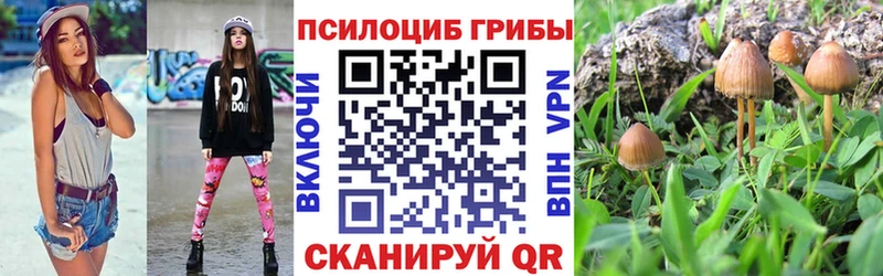 Купить где  Отрадный  Галлюциногенные грибы мицелий 