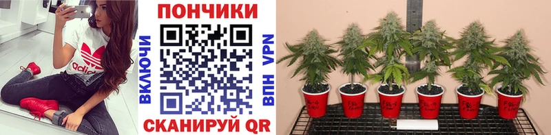 Купить  Отрадный  Марихуана Amnesia 